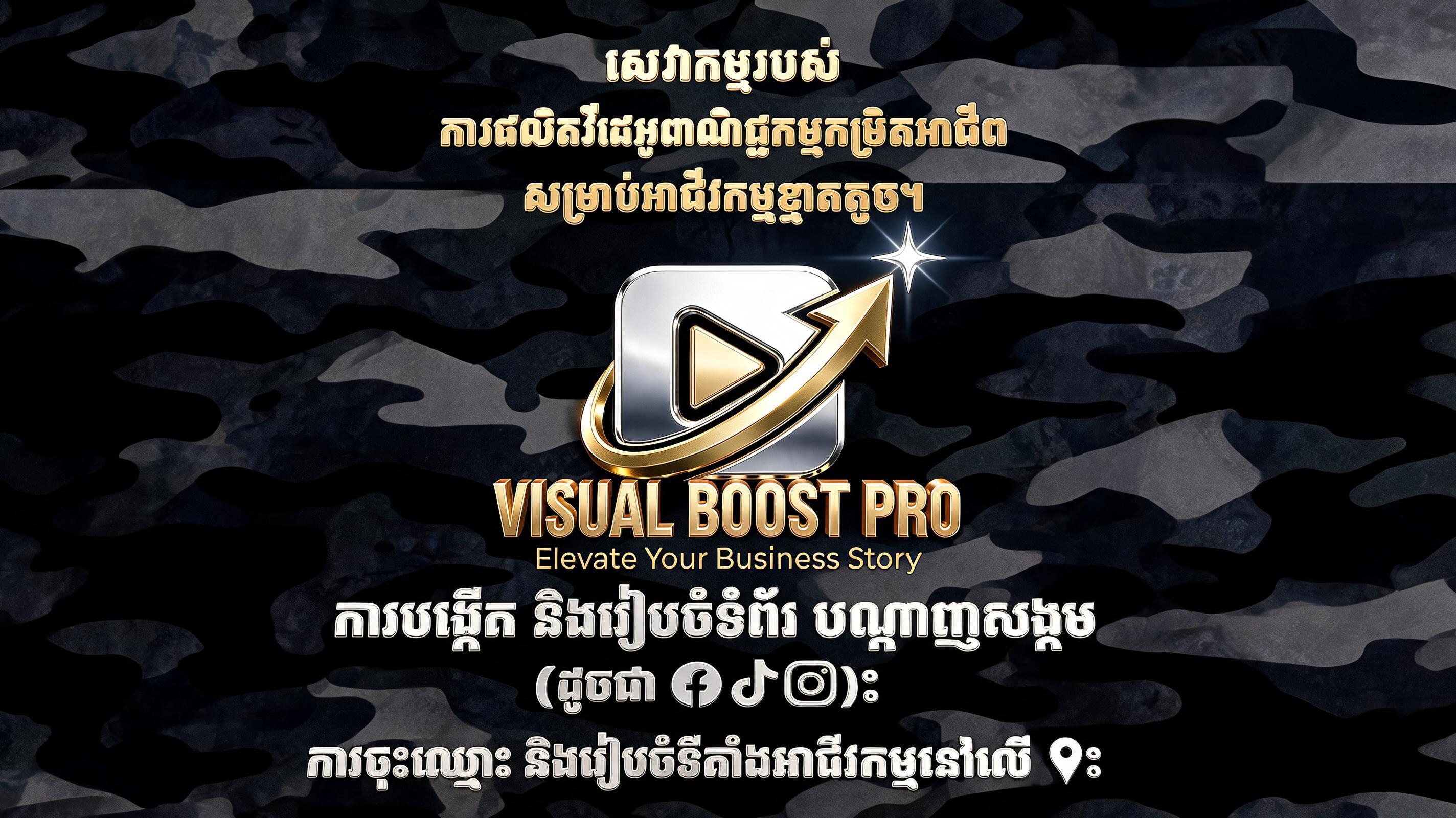 Visual Boost Pro official brand artwork